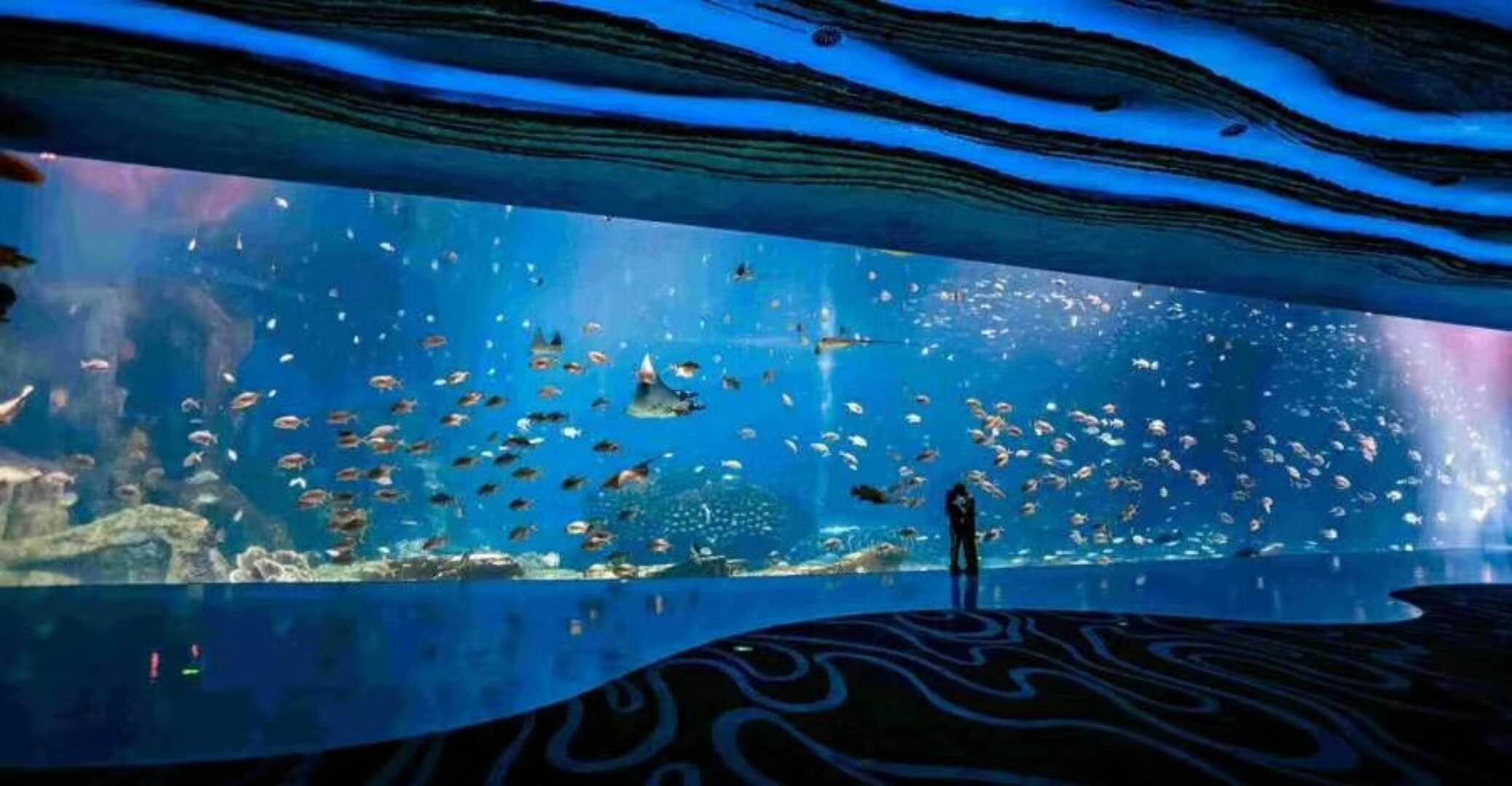 海洋館水族館生物養(yǎng)殖用水臭氧殺菌，滅藻